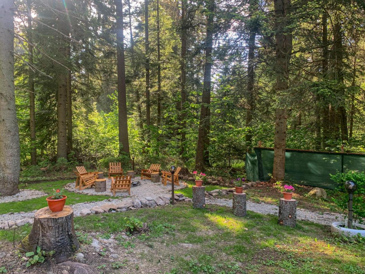Guest Rooms- Klepalski House Borovets Exterior foto